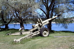 По словам очевидцев, рядом с пушкой лежат снаряды<br /><br />