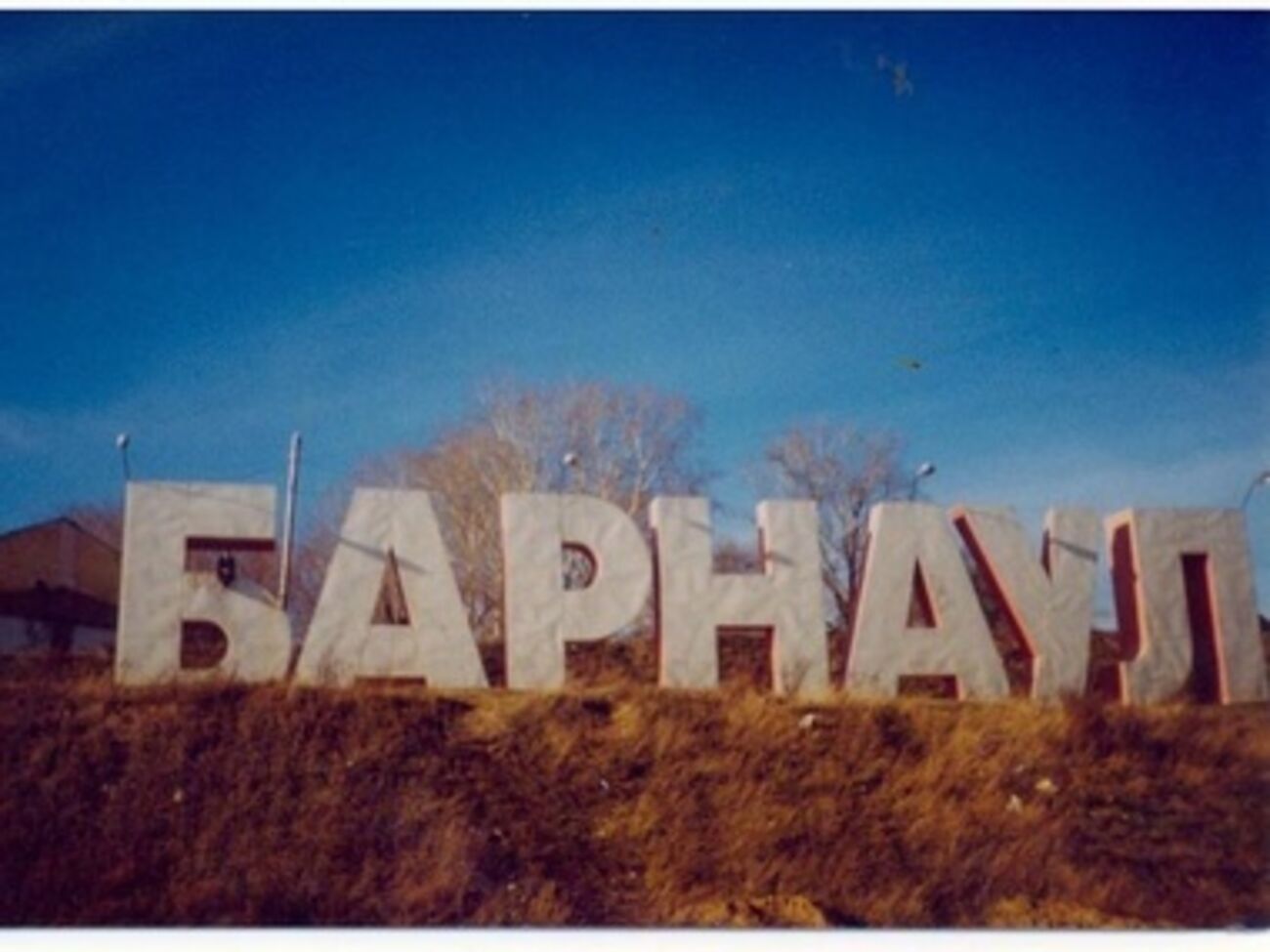 Активиста задержала полиция