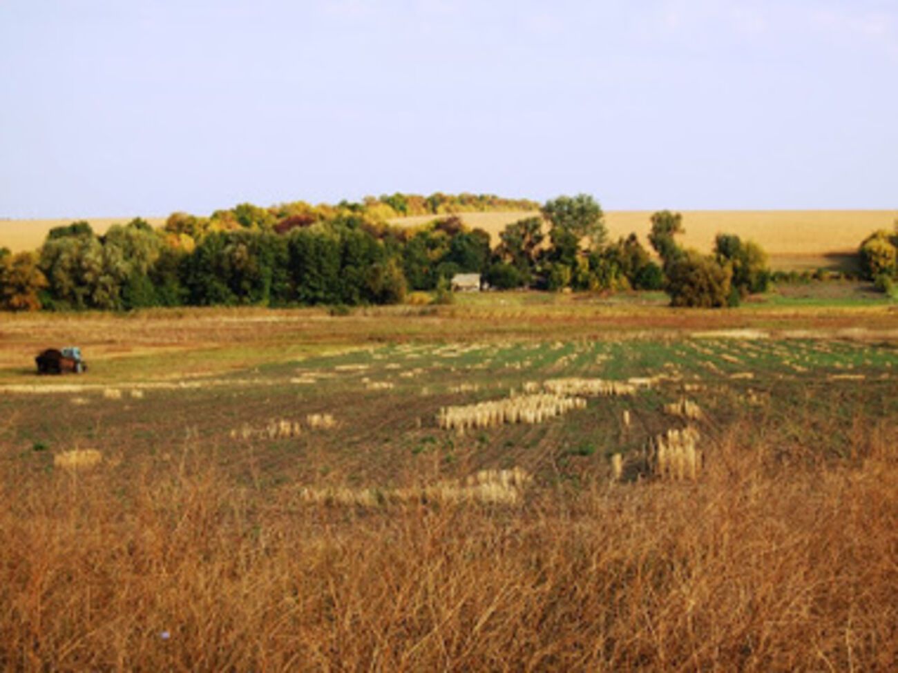Фермерами был создан координационный фонд, куда уже перечислено 350 тыс. грн