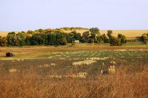 Фермерами был создан координационный фонд, куда уже перечислено 350 тыс. грн