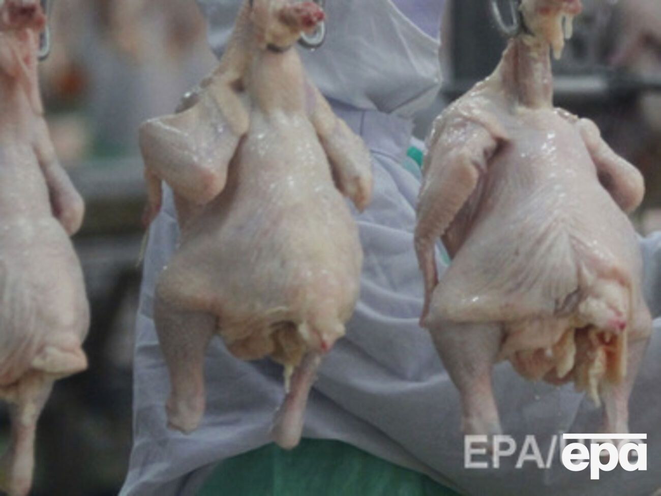 В оккупированный Крым не пустили партию мяса