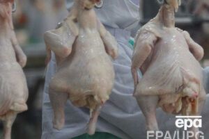 В оккупированный Крым не пустили партию мяса