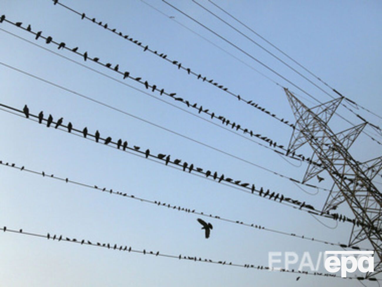 3 сентября в "Киевэнерго" заявили, что жителям Киева не будут отключать электричество