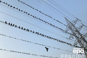 3 сентября в "Киевэнерго" заявили, что жителям Киева не будут отключать электричество