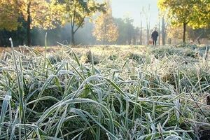 В Украине ожидаются заморозки