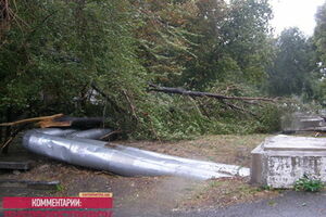 Сильный ветер валил деревья
