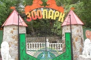 Животные стали жертвами непогоды в Крыму