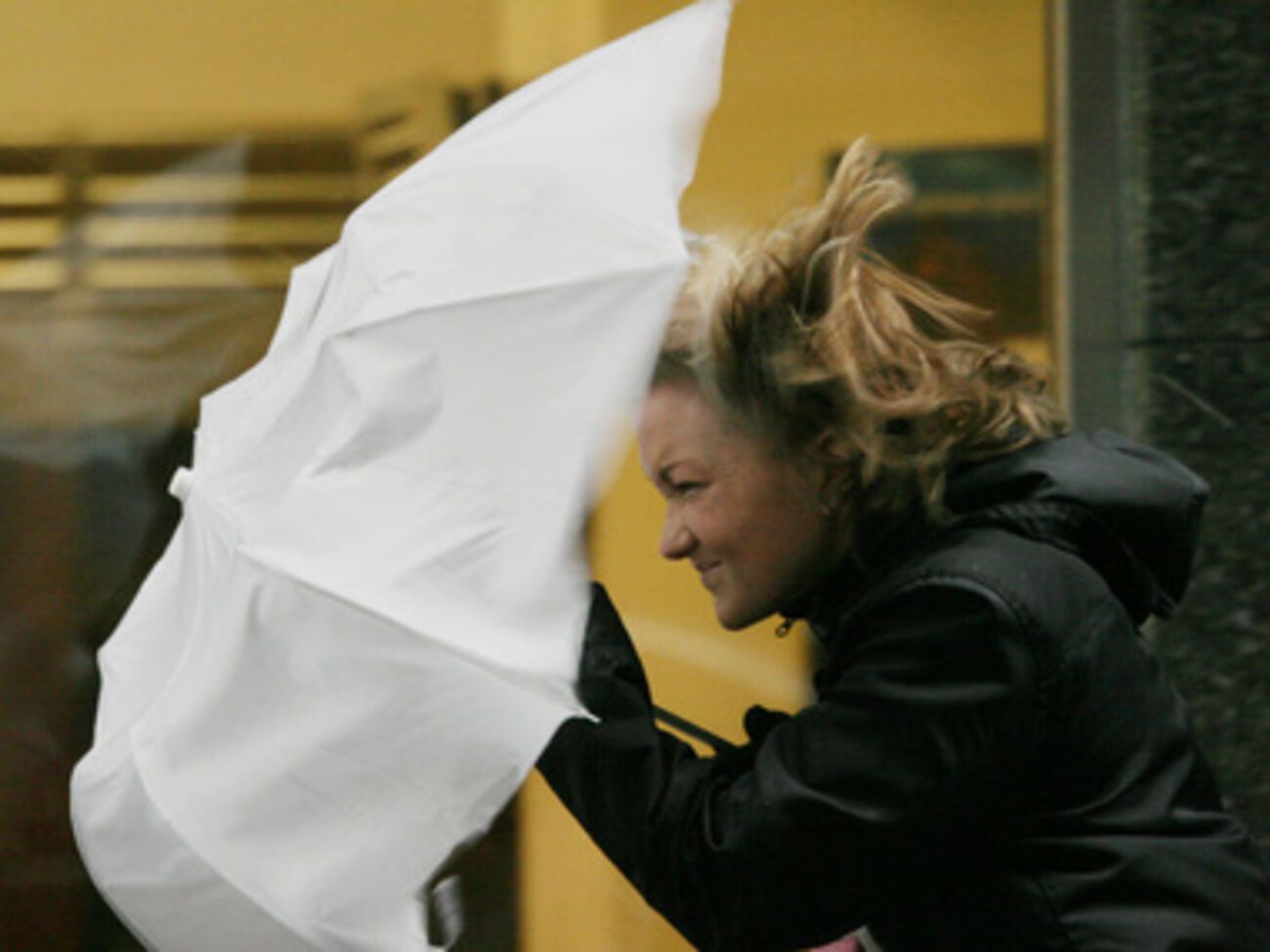 В Украине наблюдаются сильные порывы ветра