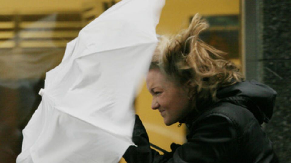 В Украине наблюдаются сильные порывы ветра