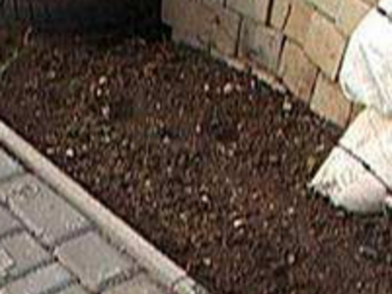 Памятник разбили в начале сентября