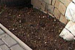 Памятник разбили в начале сентября