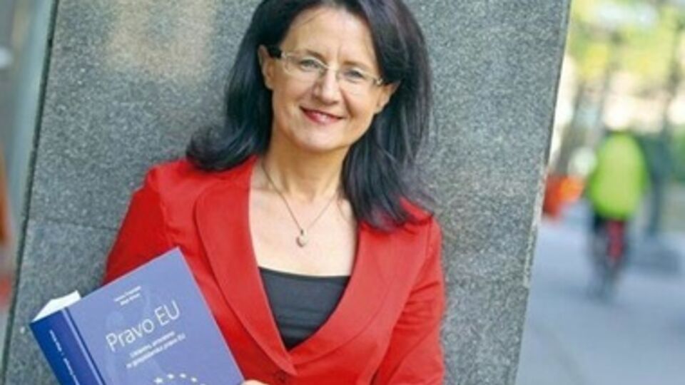 Вряд ли Януковичу удастся добиться отмены санкции против себя, заявила экс-судья Суда ЕС