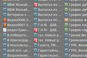 Файлы, которые хакеры нашли на сервере ЛДПР