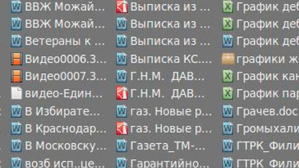 Файлы, которые хакеры нашли на сервере ЛДПР