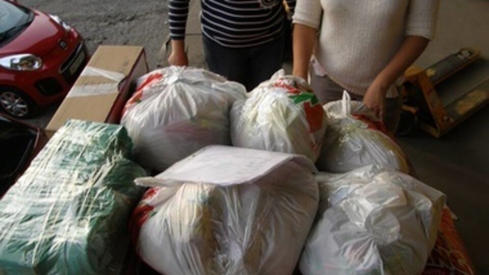 Волонтеры каждую неделю отправляют на Донбасс корм для брошенных животных