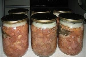 В день выдают одну банку тушенки на двух работников