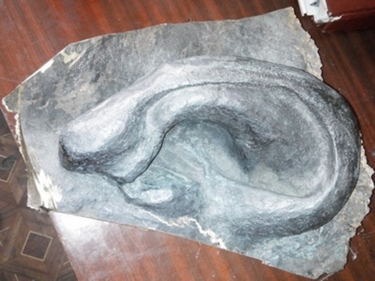 Деньги за ухо пойдут на покупку тепловизора