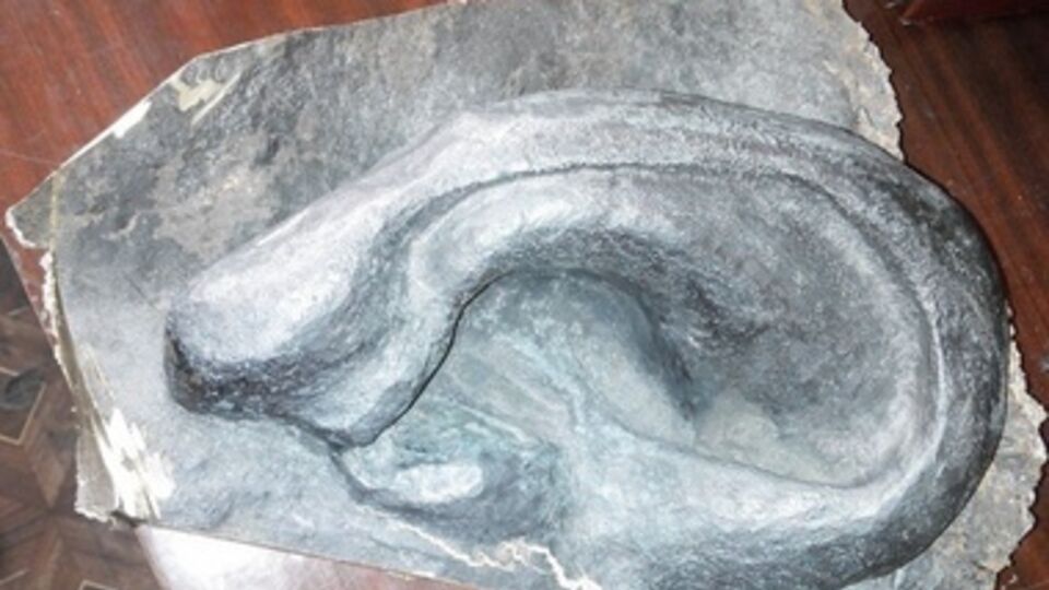 Деньги за ухо пойдут на покупку тепловизора