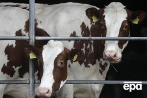 Российский продовольственный отреагировал на санкции РФ