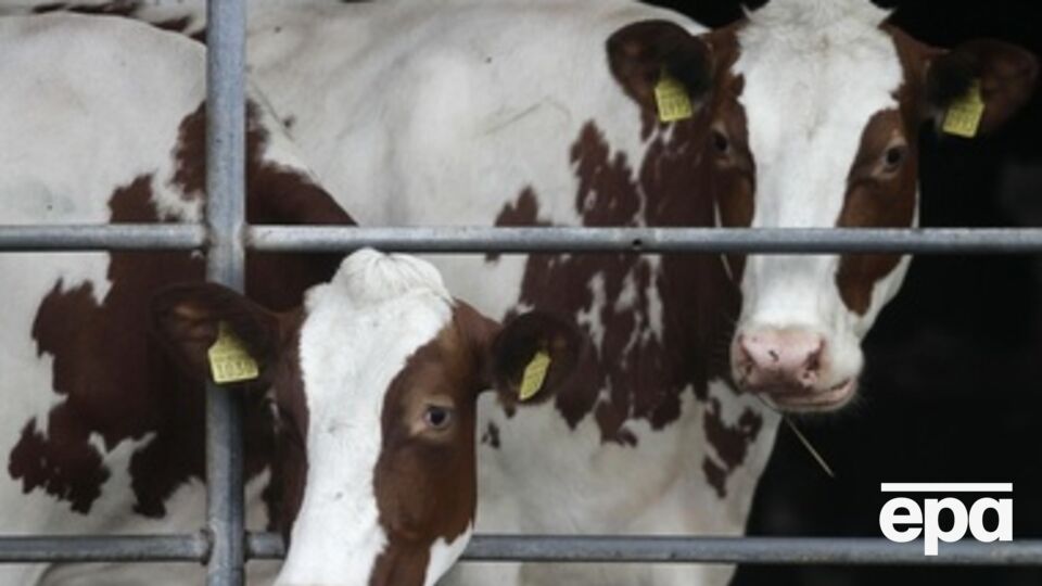 Российский продовольственный отреагировал на санкции РФ