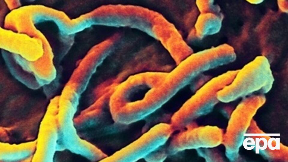 Эбола продолжает бушевать в африканских странах