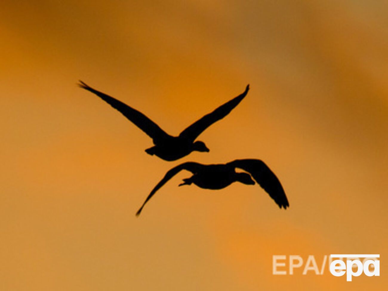 Осадков не предвидится