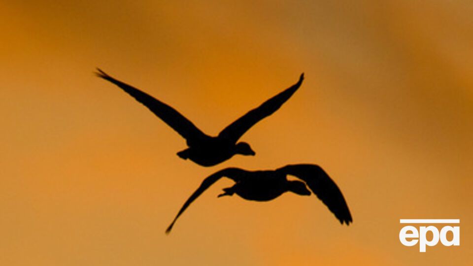 Осадков не предвидится