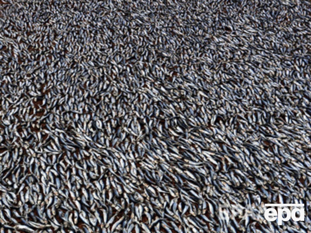 Россия ограничивает импорт товаров в Крым