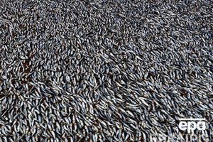 Россия ограничивает импорт товаров в Крым