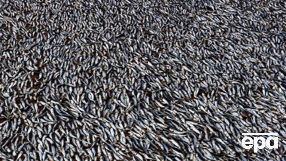 Россия ограничивает импорт товаров в Крым