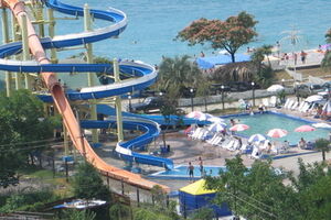 Дети из зоны АТО отдохнут на курорте Грузии