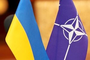 Вопрос членства Украины в НАТО будет поставлен после реформ