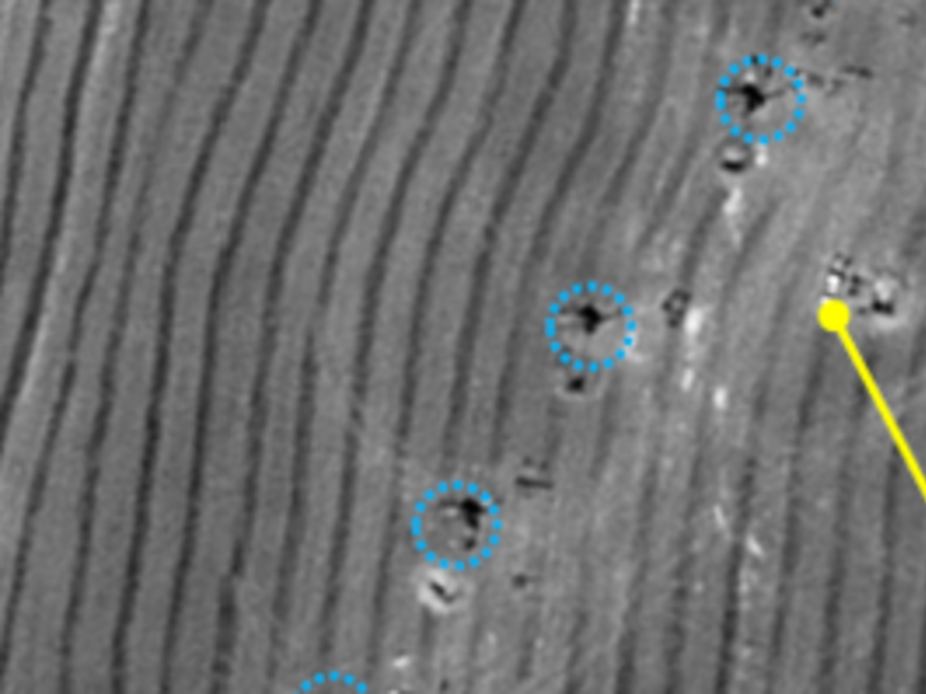 Обнародованы доказательства российского вторжения