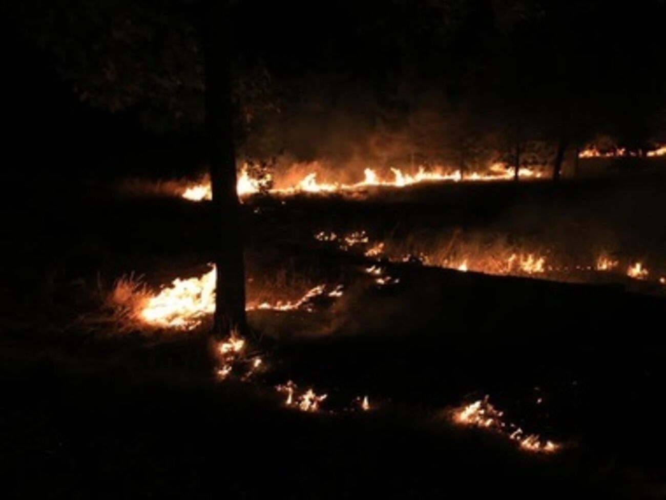 Окрестности Мариуполя регулярно обстреливаются террористами