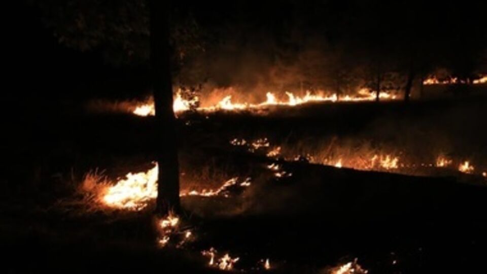 Окрестности Мариуполя регулярно обстреливаются террористами