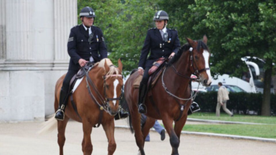 В Киеве хотят создать муниципальную полицию по примеру берлинской