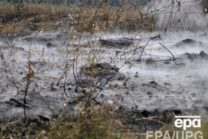 Палач казнил своих жервт в лесополосе поселка Донской на окраине Дружковки