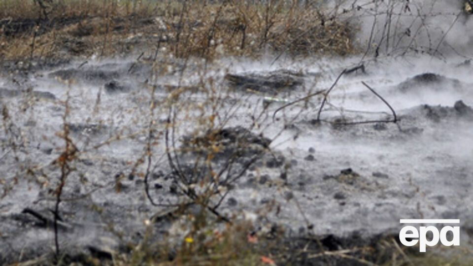 Палач казнил своих жервт в лесополосе поселка Донской на окраине Дружковки