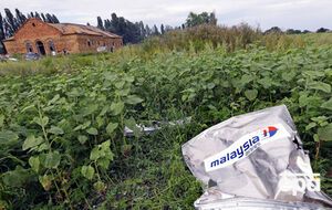 На сбор вещественных доказательств по делу о крушении Boeing 777 Малайзийских авиалиний понадобится несколько недель