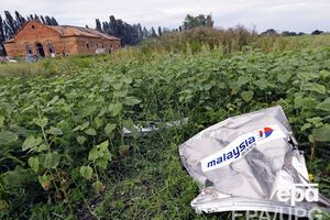 На сбор вещественных доказательств по делу о крушении Boeing 777 Малайзийских авиалиний понадобится несколько недель