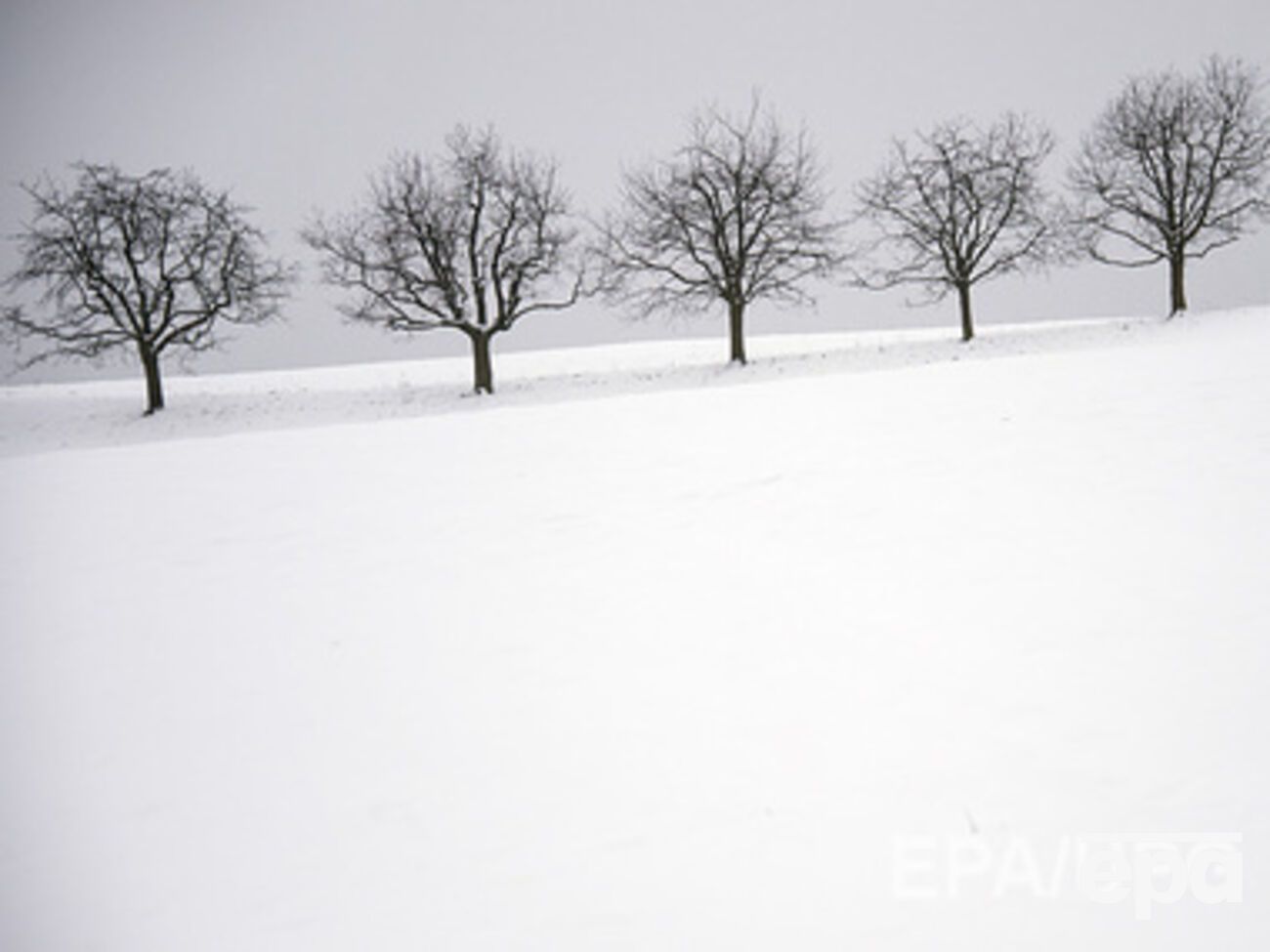 Завтра в Украине снова будет идти снег