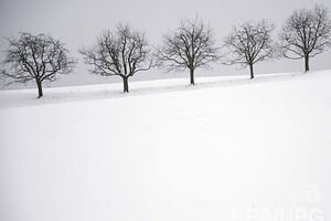 Завтра в Украине снова будет идти снег