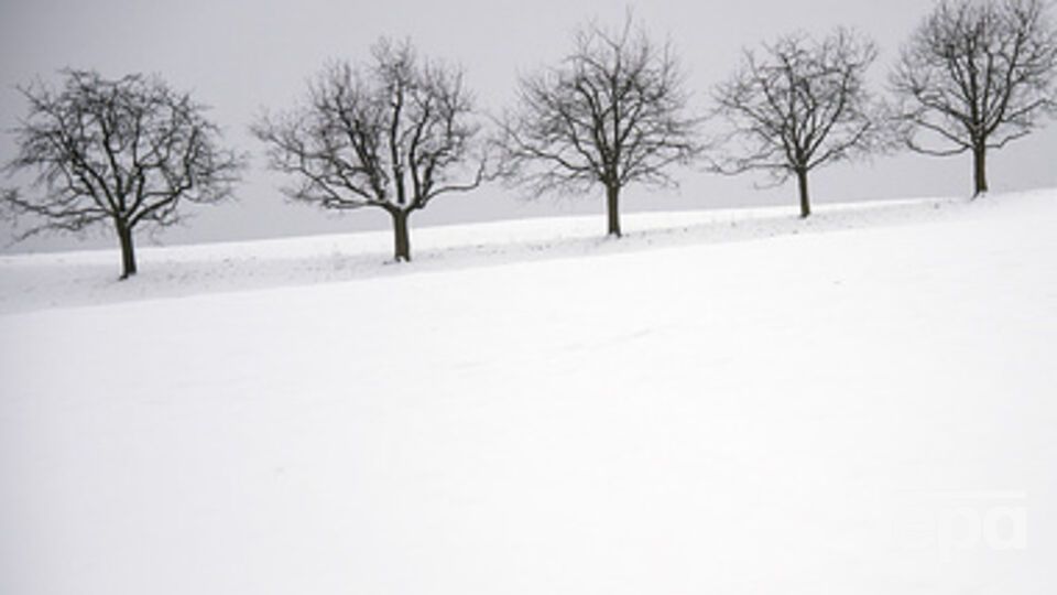 Завтра в Украине снова будет идти снег