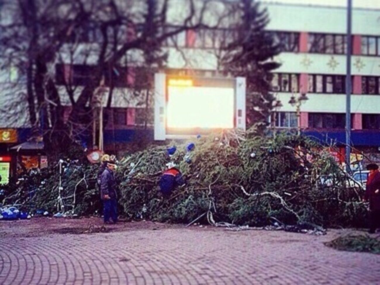 Ивано-Франковск остался без главной елки