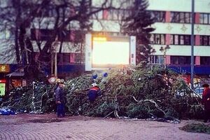 Ивано-Франковск остался без главной елки