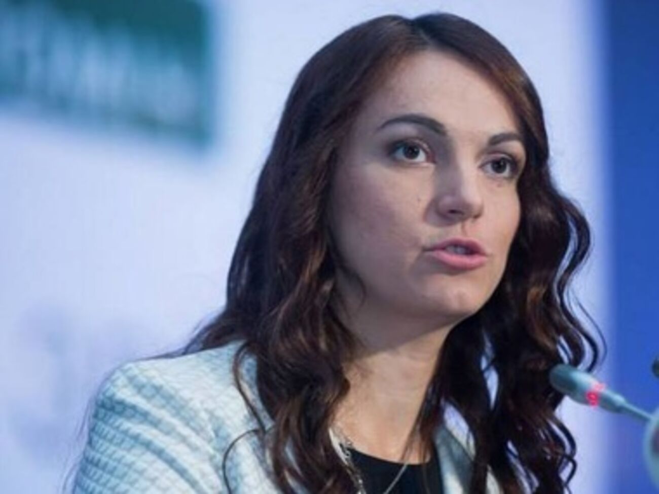 Гопко: Украине нужен фонд страхования инвестиций