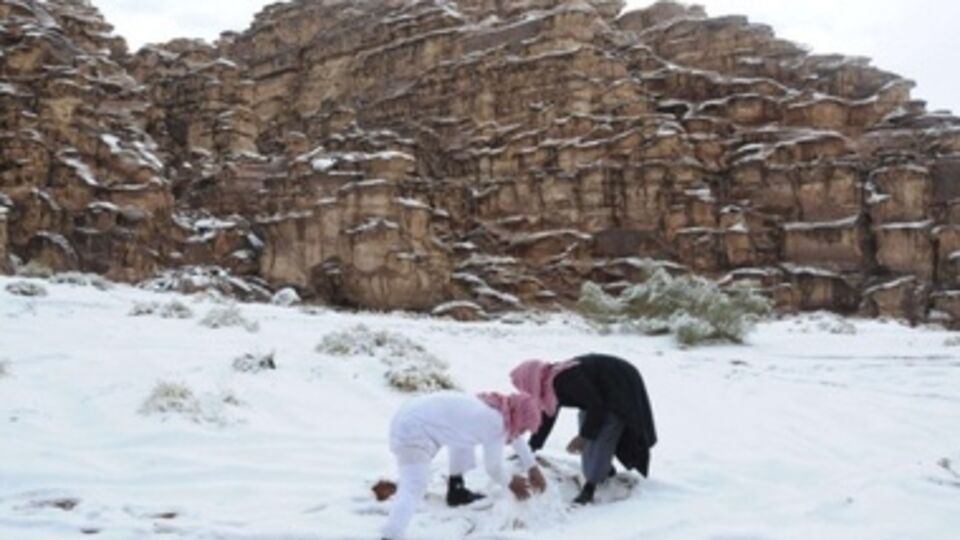 Мухаммад Салех аль-Мунадджид: Можно создавать образы того, что не имеет души – деревьев, кораблей, плодов, зданий