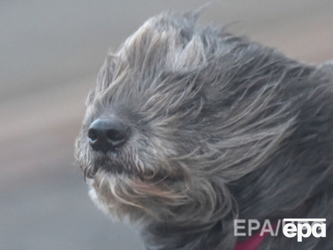 Местами ожидаются штормовые порывы ветра