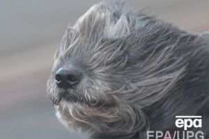 Местами ожидаются штормовые порывы ветра