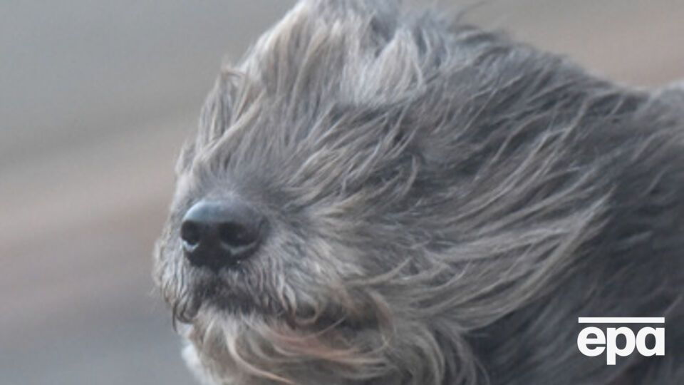 Местами ожидаются штормовые порывы ветра